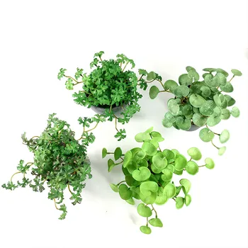 Naujas Modeliavimo Vario Monetos Žolės Dirbtinių Gėlių Netikrą Gebenės Lapų Žaliųjų Augalų Darbalaukio Bonsai Augalų Namų Dekoro Parduotuvė