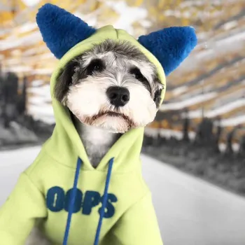 Šunų drabužius rudenį ir žiemą medvilnės megztinis Mažų šunų drabužius Teddy veislės kalytę Pomeranijos pudelis kamšalu pet gobtuvu megztinis